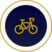 Bicycle Accidents Icon